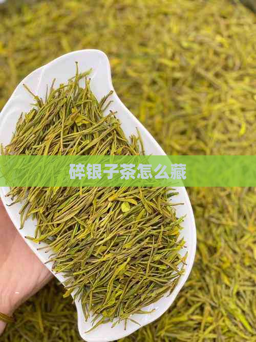 碎银子茶怎么藏