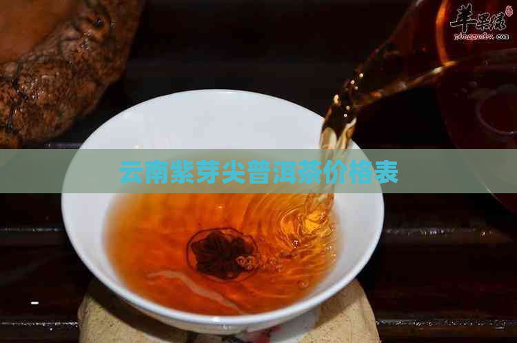 云南紫芽尖普洱茶价格表