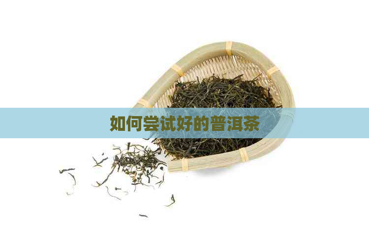 如何尝试好的普洱茶