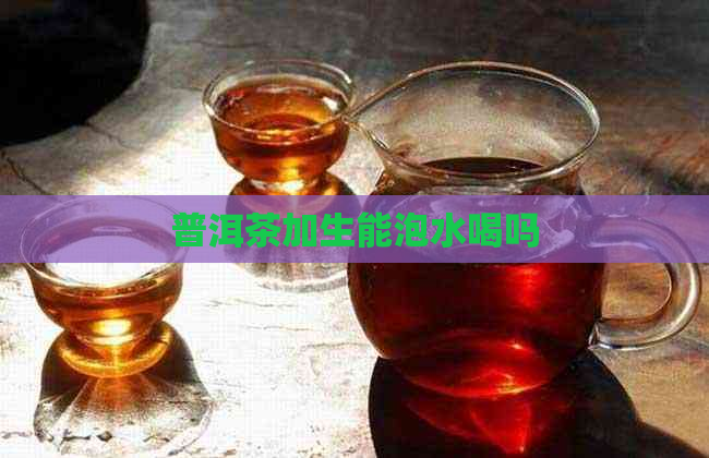 普洱茶加生能泡水喝吗