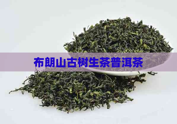 布朗山古树生茶普洱茶