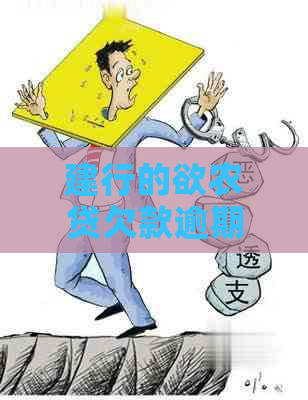 建行的欲农贷欠款逾期