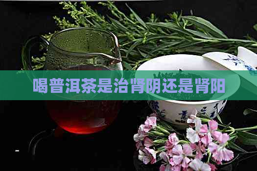 喝普洱茶是治肾阴还是肾阳