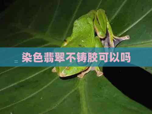 染色翡翠不铸胶可以吗