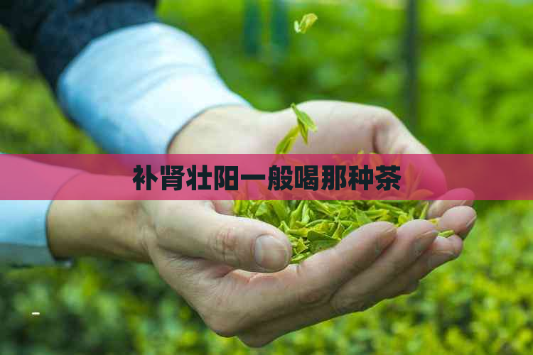 补肾壮阳一般喝那种茶