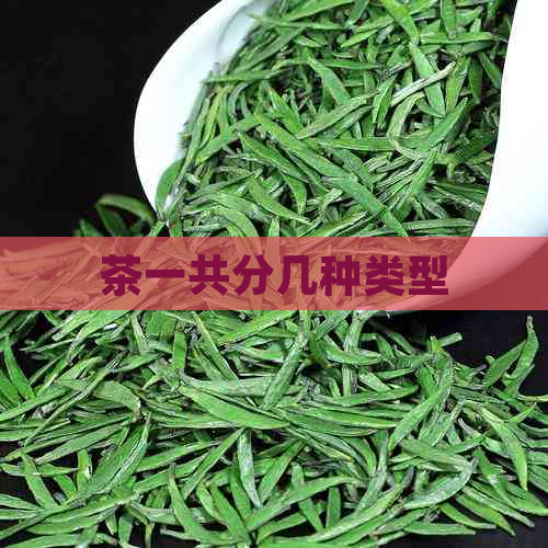 茶一共分几种类型