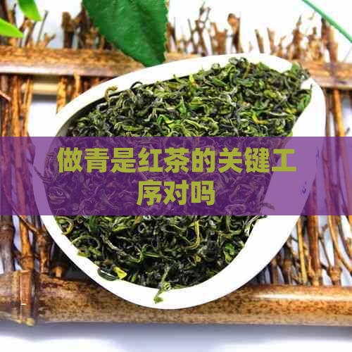 做青是红茶的关键工序对吗