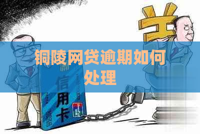 铜陵网贷逾期如何处理