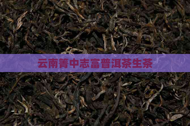 云南箐中志富普洱茶生茶