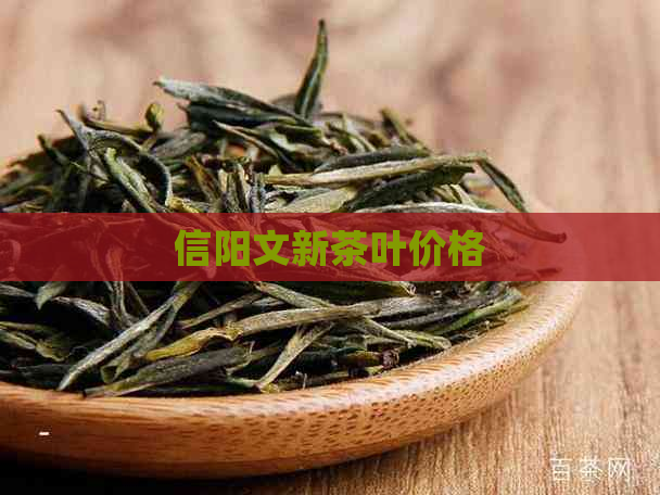 信阳文新茶叶价格