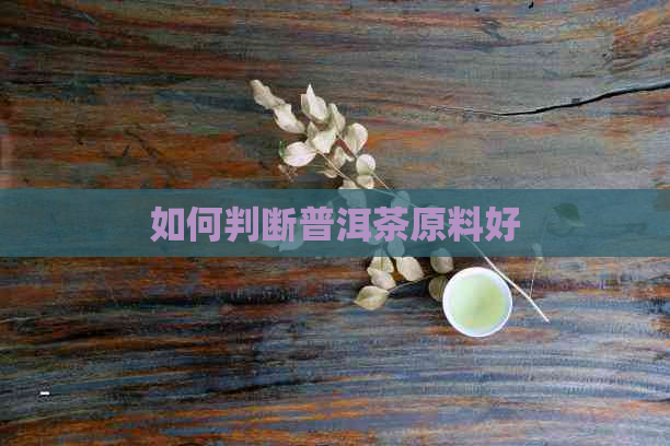 如何判断普洱茶原料好