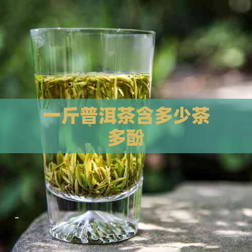 一斤普洱茶含多少茶多酚