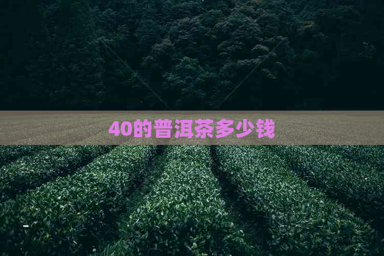 40的普洱茶多少钱