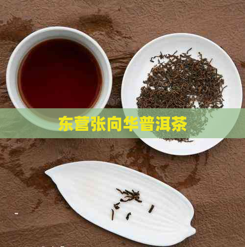 东营张向华普洱茶