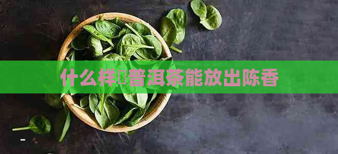 什么样敀普洱茶能放出陈香