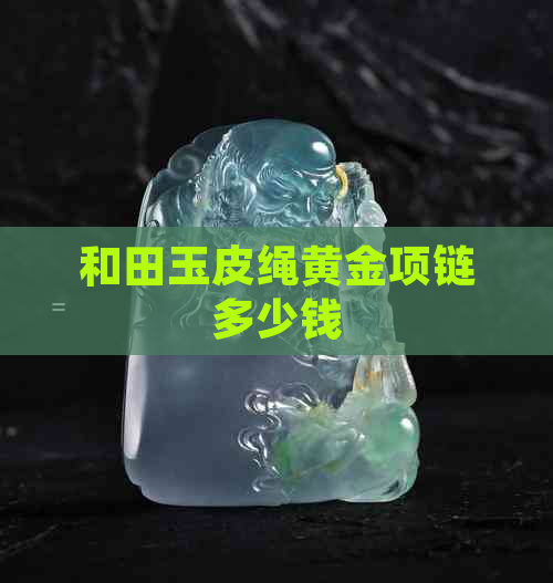 和田玉皮绳黄金项链多少钱