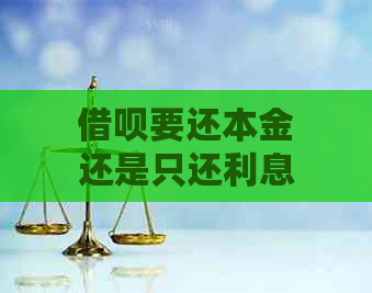 借呗要还本金还是只还利息及相关问题