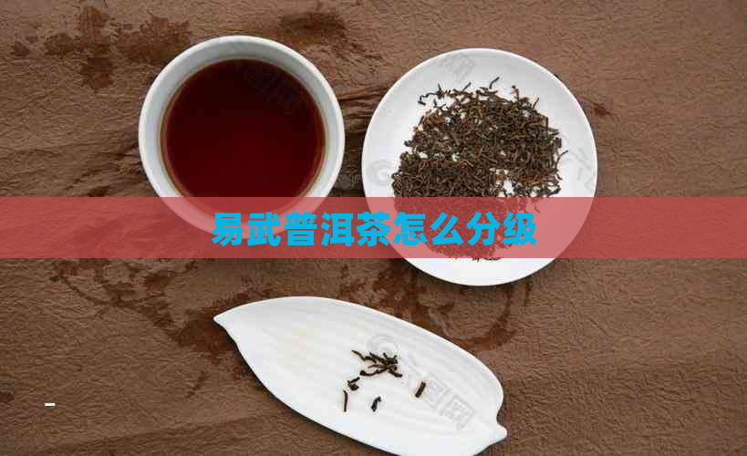 易武普洱茶怎么分级