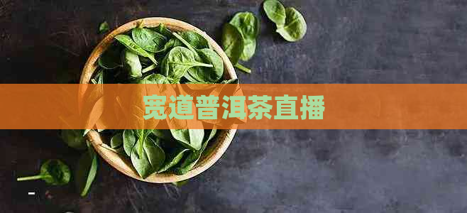 宽道普洱茶直播