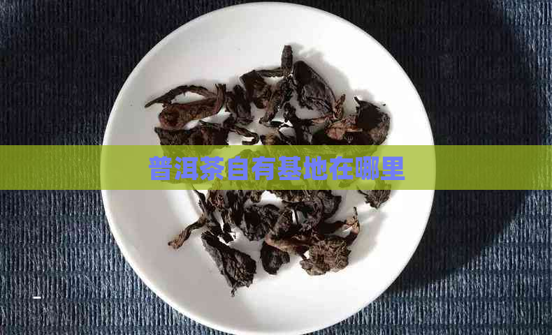 普洱茶自有基地在哪里