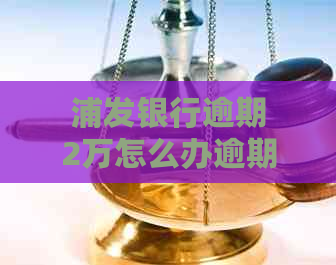 浦发银行逾期2万怎么办逾期还款攻略