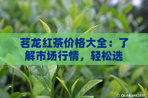 茗龙红茶价格大全：了解市场行情，轻松选购合适的红茶产品