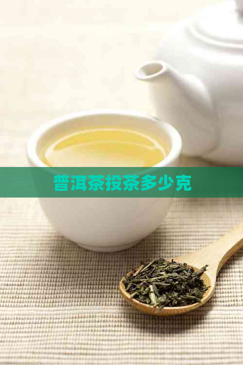 普洱茶投茶多少克