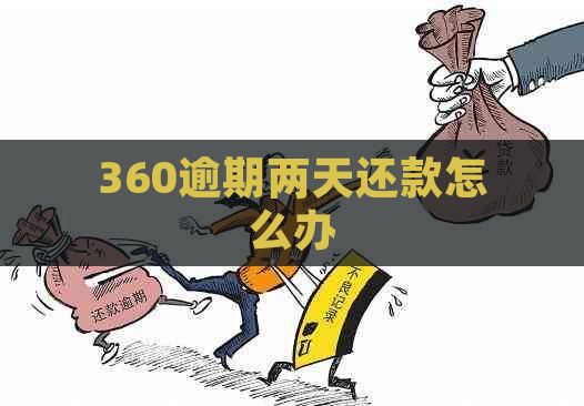 360逾期两天还款怎么办