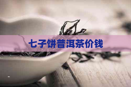 七子饼普洱茶价钱