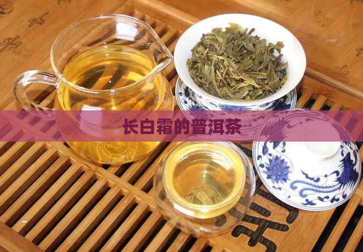 长白霜的普洱茶