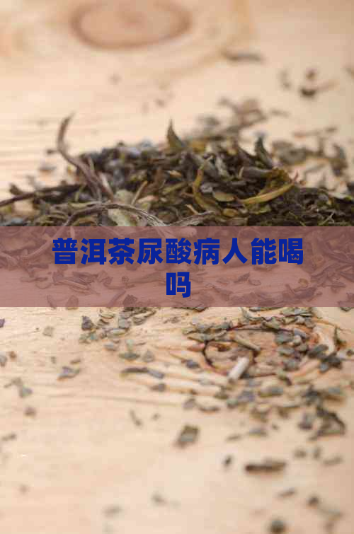 普洱茶尿酸病人能喝吗