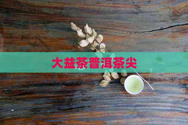 大益茶普洱茶尖