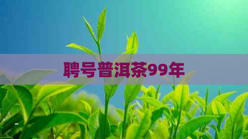 聘号普洱茶99年