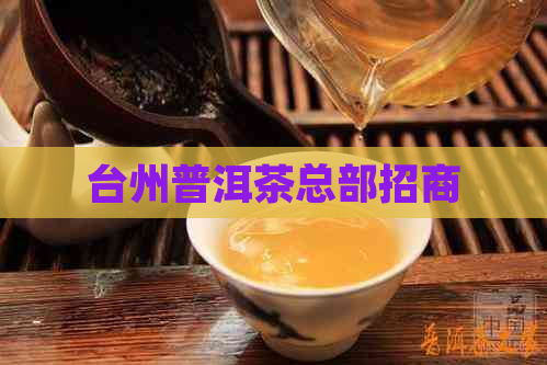 台州普洱茶总部招商