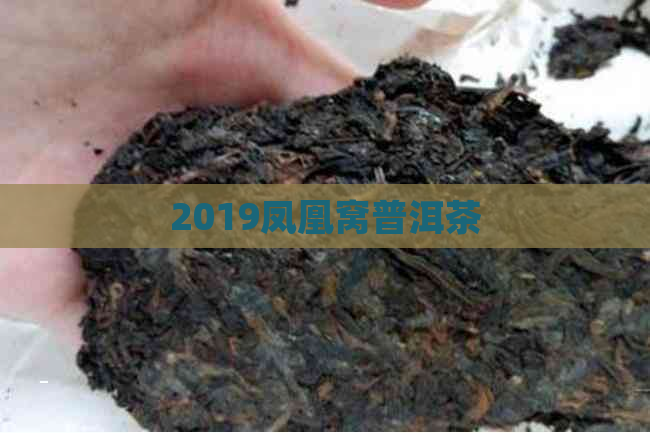 2019凤凰窝普洱茶