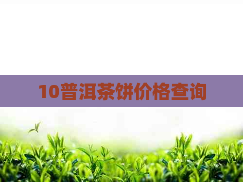 10普洱茶饼价格查询