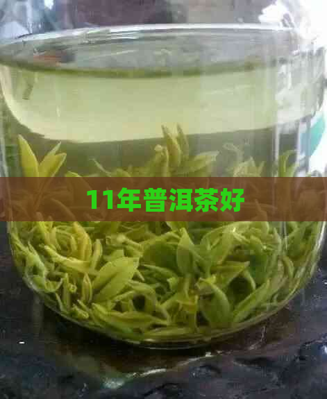 11年普洱茶好