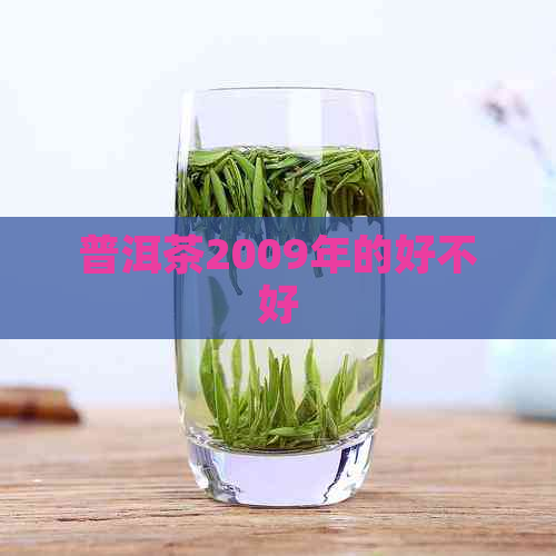 普洱茶2009年的好不好