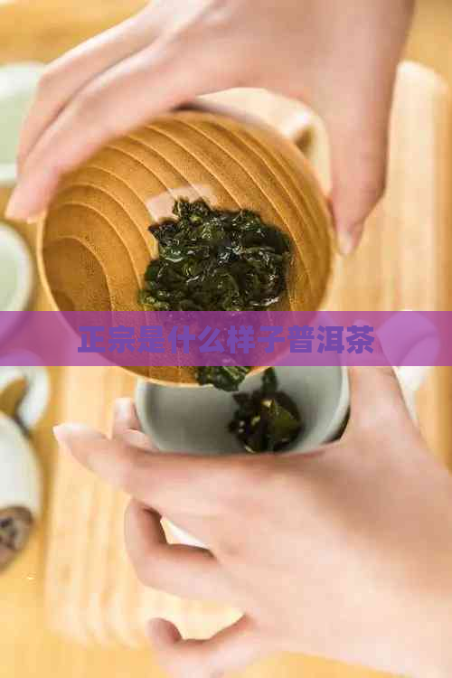 正宗是什么样子普洱茶