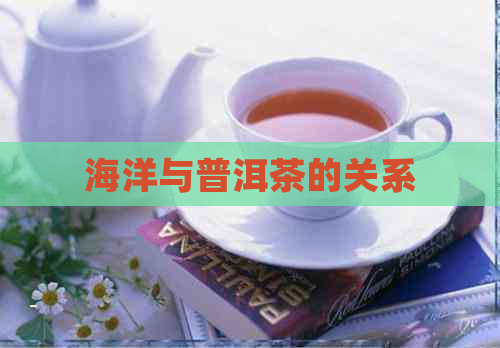 海洋与普洱茶的关系