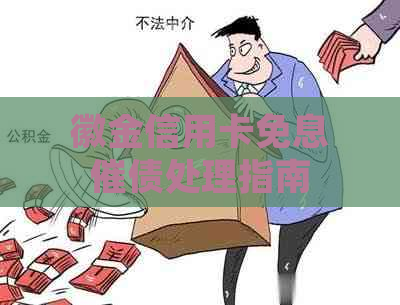 徽金信用卡免息催债处理指南