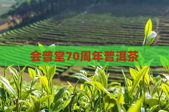 会普堂70周年普洱茶