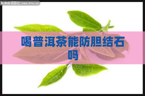 喝普洱茶能防胆结石吗