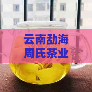 云南勐海周氏茶业老班章