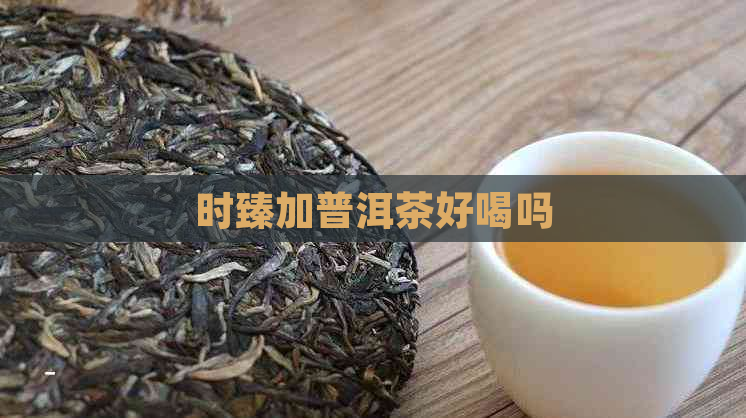 时臻加普洱茶好喝吗