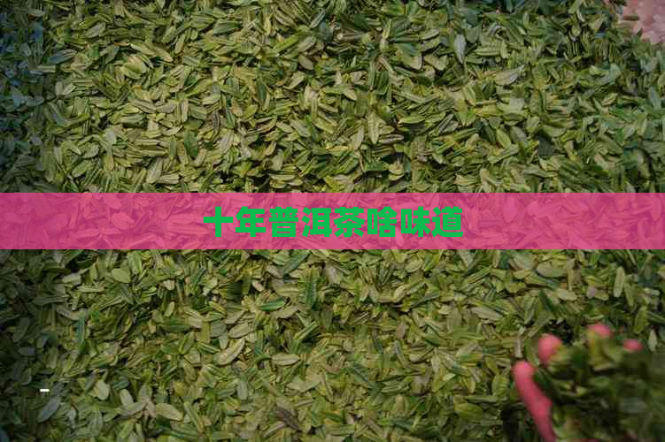 十年普洱茶啥味道