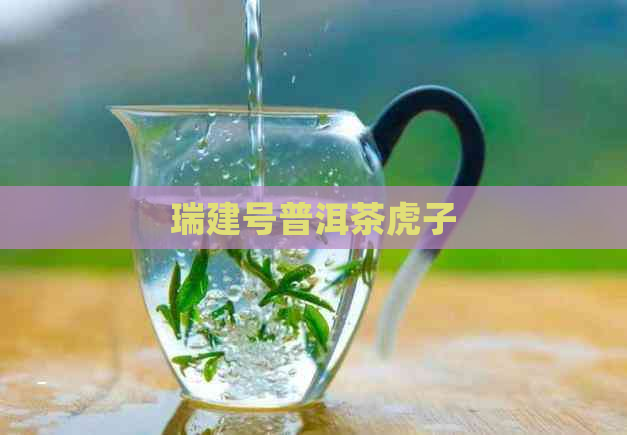 瑞建号普洱茶虎子