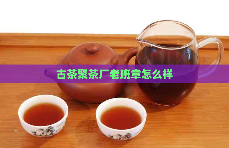 古茶聚茶厂老班章怎么样