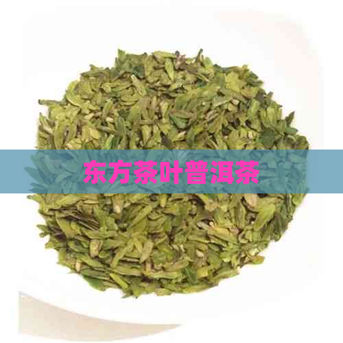 东方茶叶普洱茶