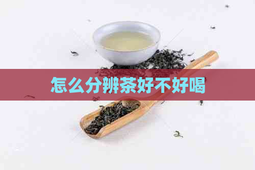 怎么分辨茶好不好喝